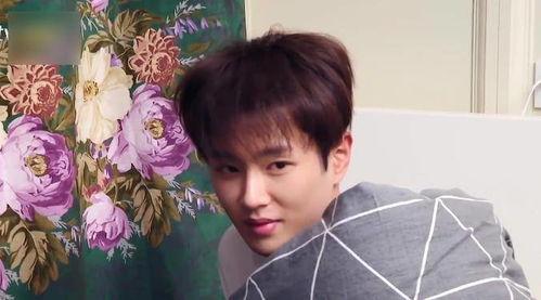 看吃瓜视频的博主叫什么,揭秘吃瓜博主背后的故事