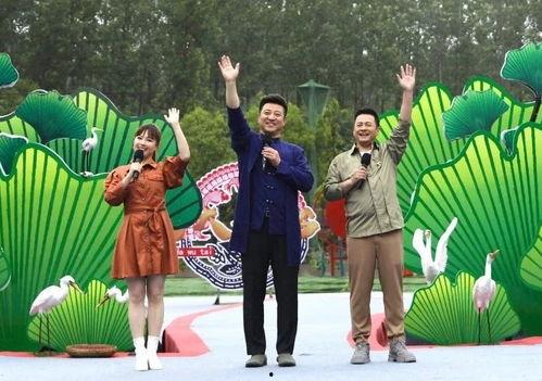 山西介休最近吃瓜事件视频,一场引发热议的网络视频风波