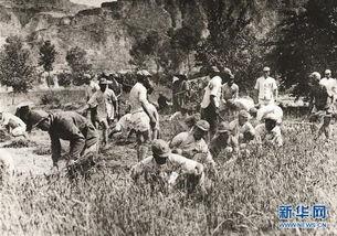 冕宁红军吃瓜事件视频,一段感人至深的军民鱼水情