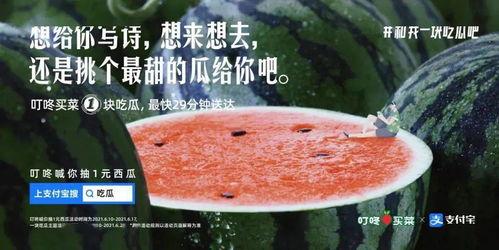 吃瓜文案视频怎么做好看,打造视觉盛宴的秘诀