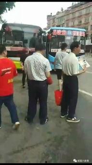 吃瓜群众围观亲吻视频,激情瞬间!吃瓜群众围观亲吻视频引发热议