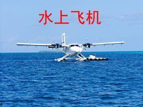 水上飞机吃瓜视频,空中美食新体验
