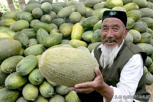 在新疆吃哈密瓜好吗视频,舌尖上的甜蜜之旅