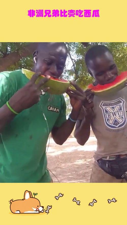 兄弟吃瓜大赛搞笑视频,笑料横飞,瓜界风云再起!