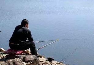 午时吃瓜钓鱼视频,一场别开生面的夏日休闲时光