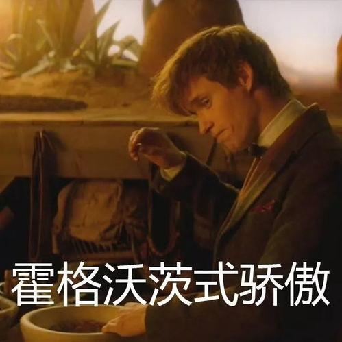 吃魔鬼的麻瓜视频,一场奇幻美食之旅