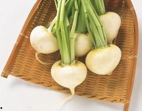 吃瓜萝卜小视频,揭秘日常生活中的趣味瞬间