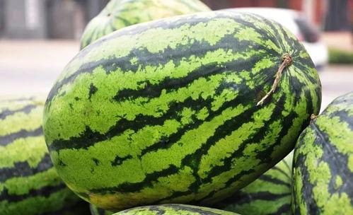 江西科技吃瓜视频,揭秘科技圈那些不为人知的幕后故事