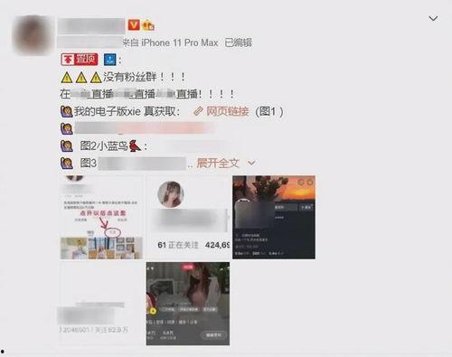 主播看吃瓜视频违法吗,主播观看是否违法？