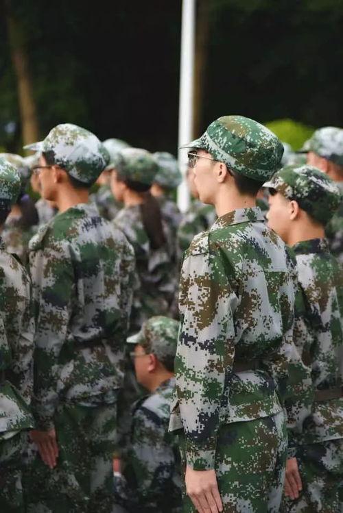 全网聪慧吃瓜军训视频