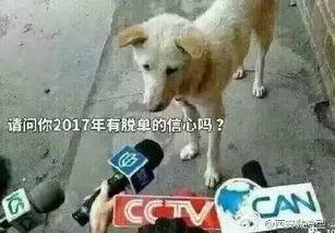 卧槽吃瓜视频下载,揭秘热门事件背后的真相