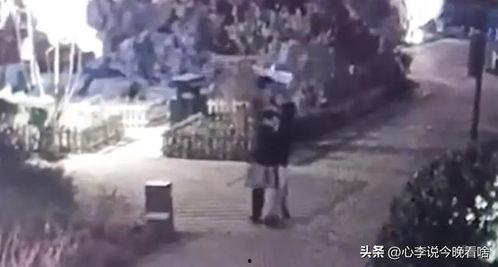 东水街视频吃瓜,一场吃瓜盛宴，揭秘街头美食背后的故事