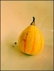 吃瓜视频新沂,揭秘当地热门事件背后的真相